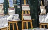 IMG_8437-3